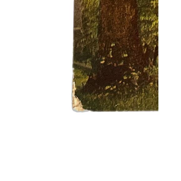 Atq Litho Postcard Ephemera Franconia Hotel Winona Lake, IN Pub JW Van De Venter - Picture 4 of 5